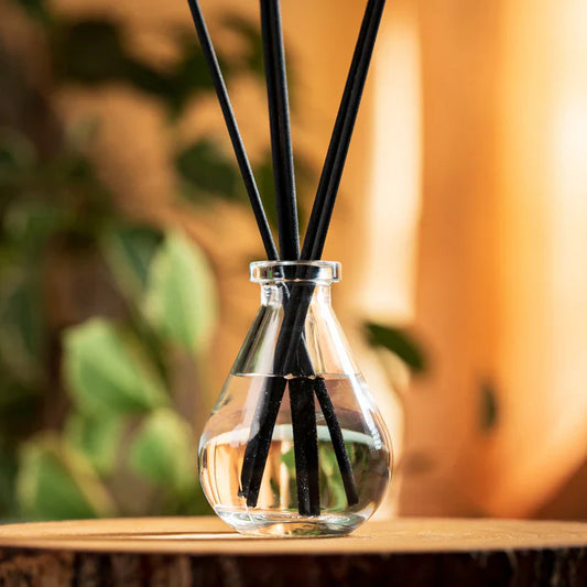 Unveiling the Allure of Reed Diffusers