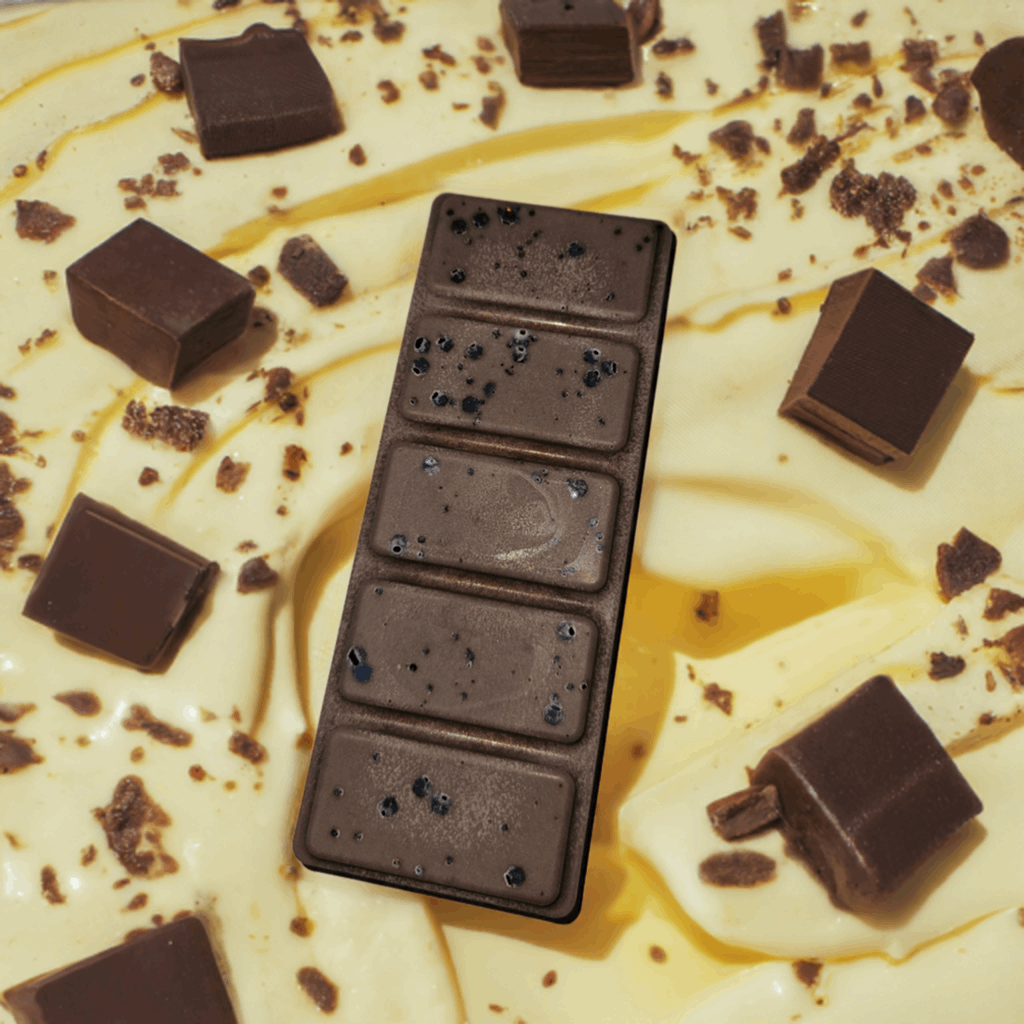 Chocolate Fudge Ice Cream - Chilo Chic